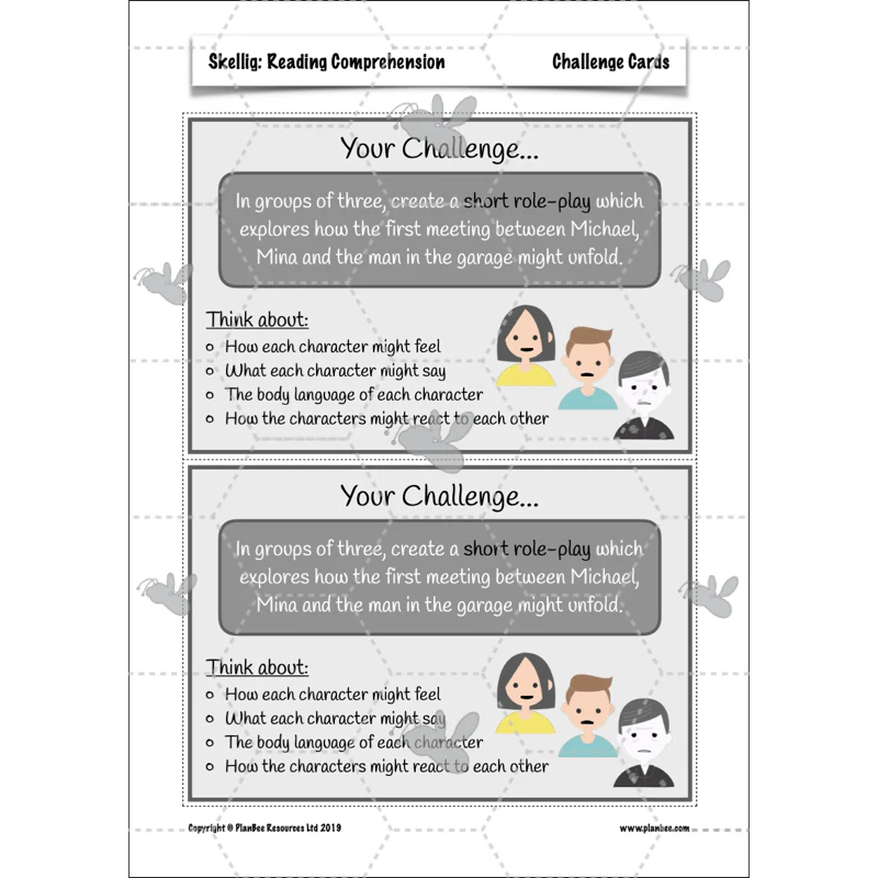 Skellig: Reading Comprehension - Image 48