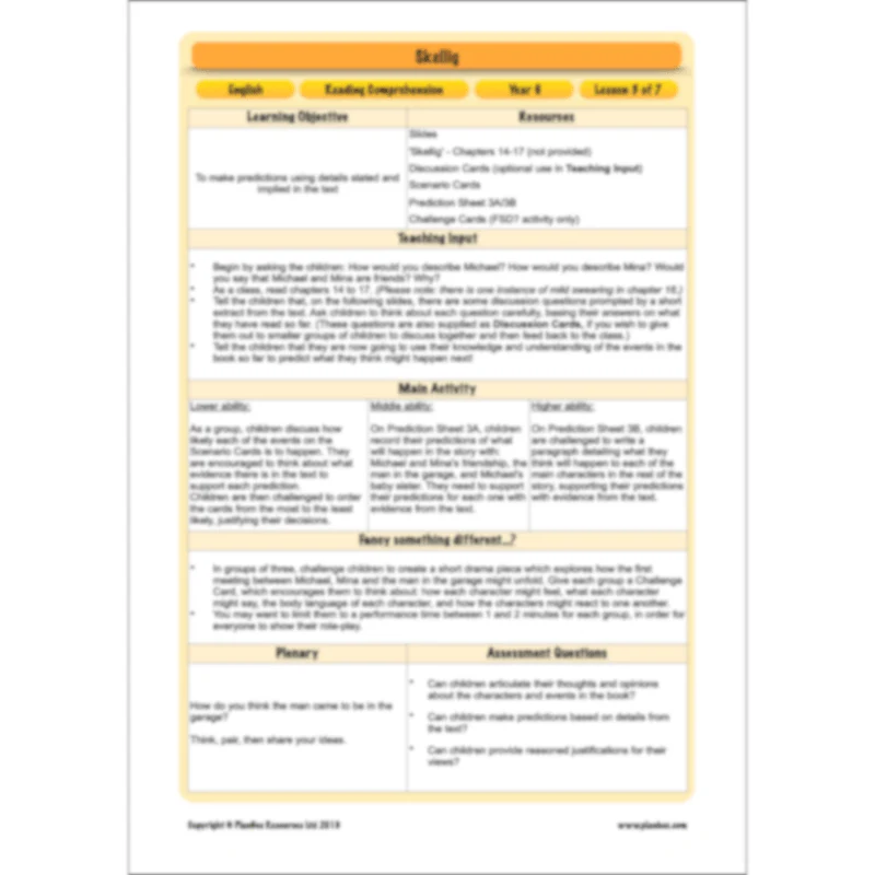Skellig: Reading Comprehension - Image 49
