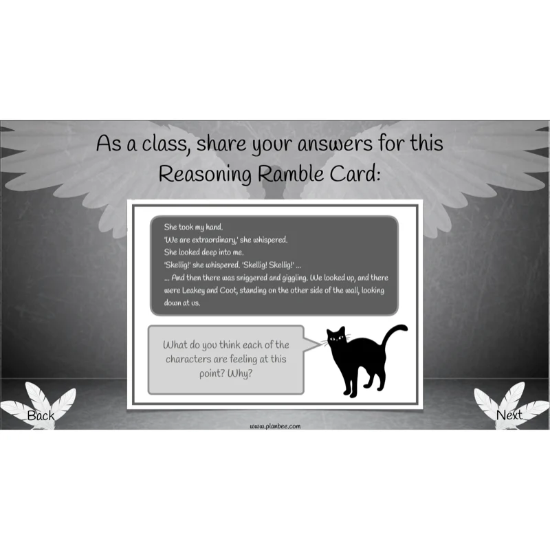 Skellig: Reading Comprehension - Image 60