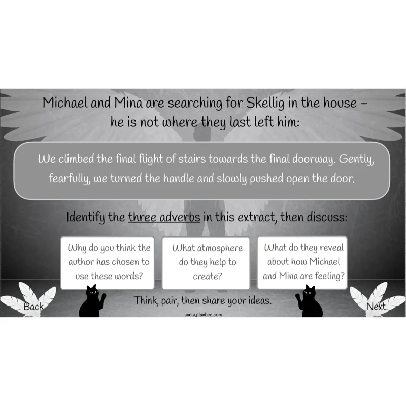 Skellig: Reading Comprehension - Image 67