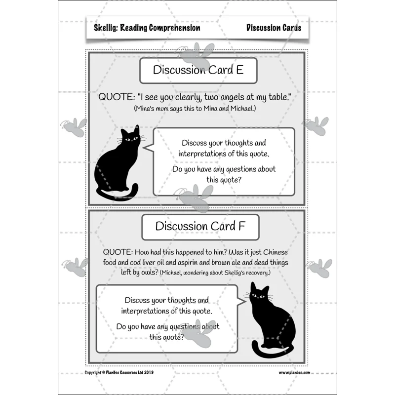 Skellig: Reading Comprehension - Image 71