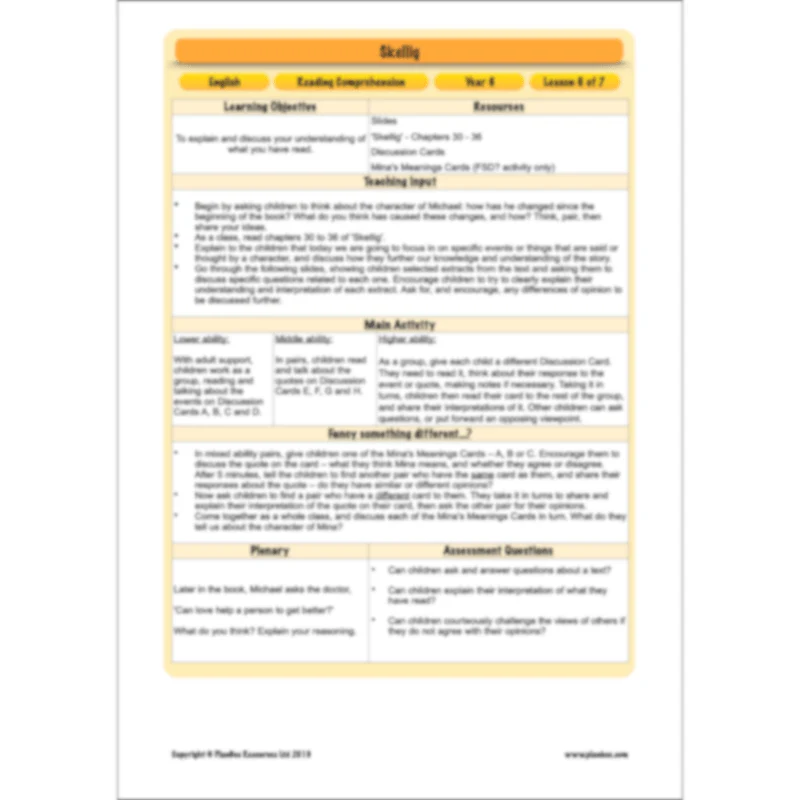 Skellig: Reading Comprehension - Image 73