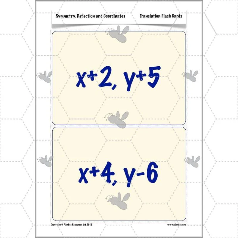 Symmetry, Reflection and Coordinates - Image 31