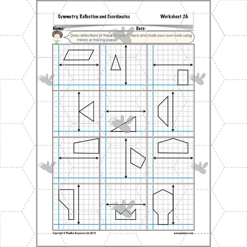 Symmetry, Reflection and Coordinates - Image 37