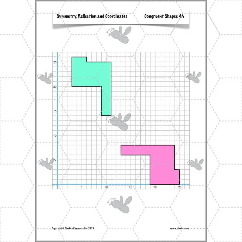Symmetry, Reflection and Coordinates - Image 56