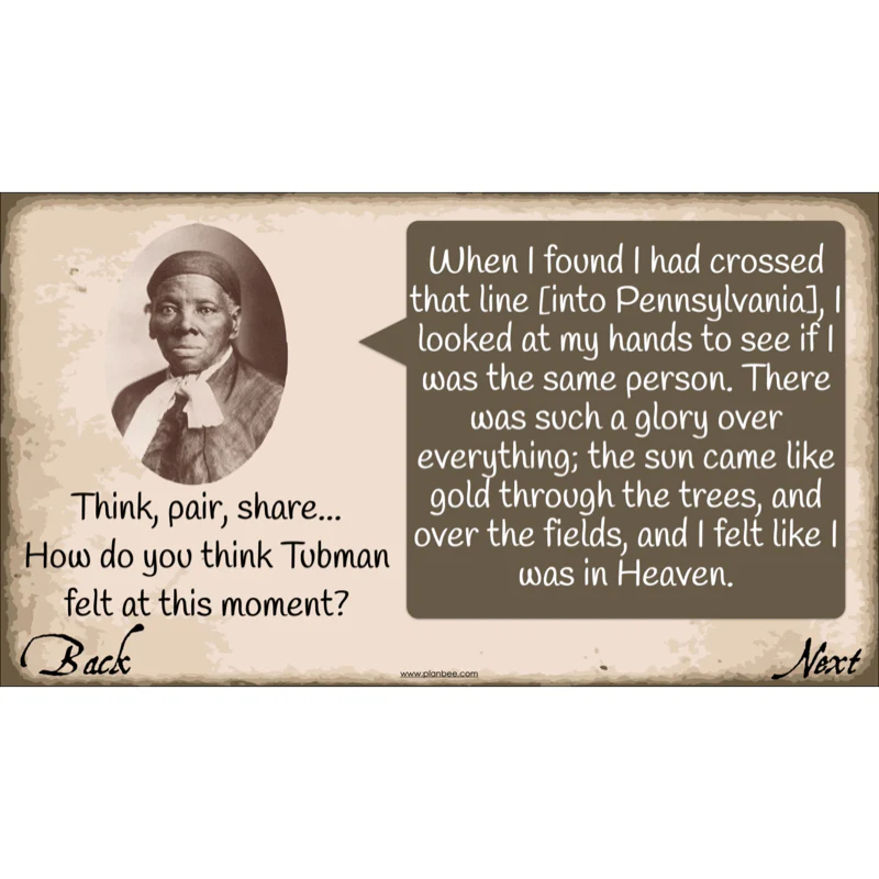 The Atlantic Slave Trade - Image 61