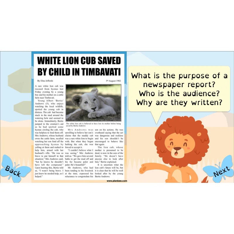 The Butterfly Lion: Newspaper Reports - Image 17