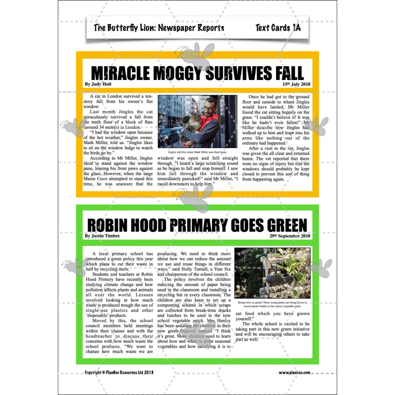 The Butterfly Lion: Newspaper Reports - Image 23