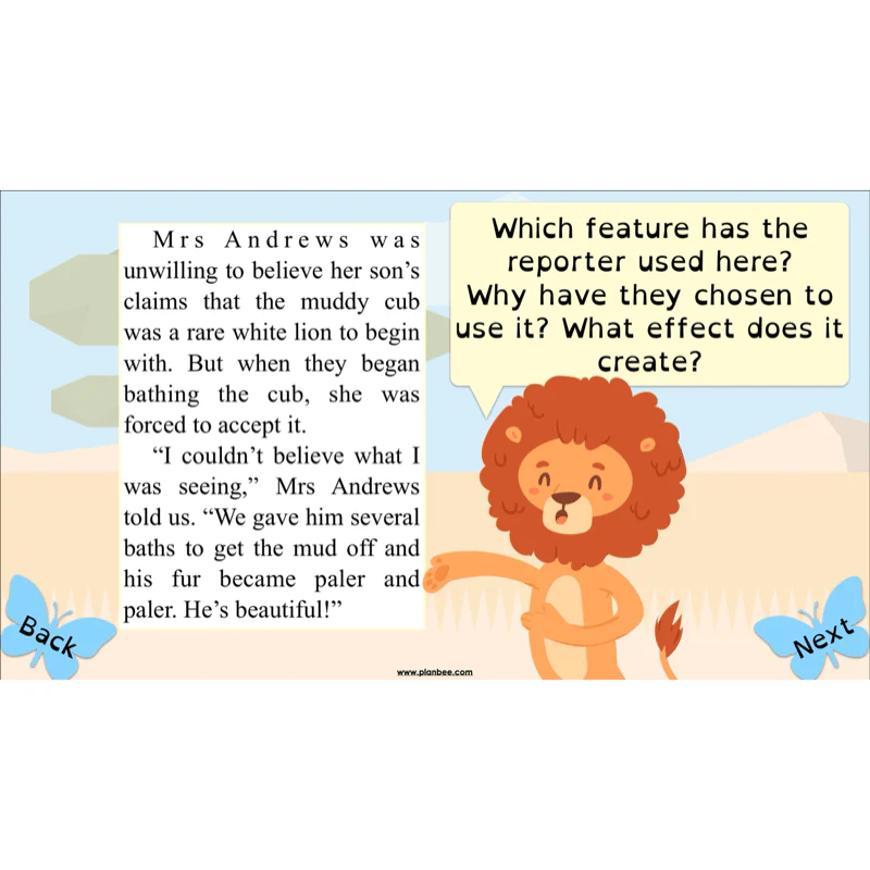 The Butterfly Lion: Newspaper Reports - Image 25