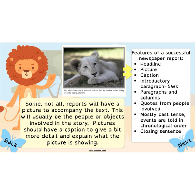 The Butterfly Lion: Newspaper Reports - Image 4