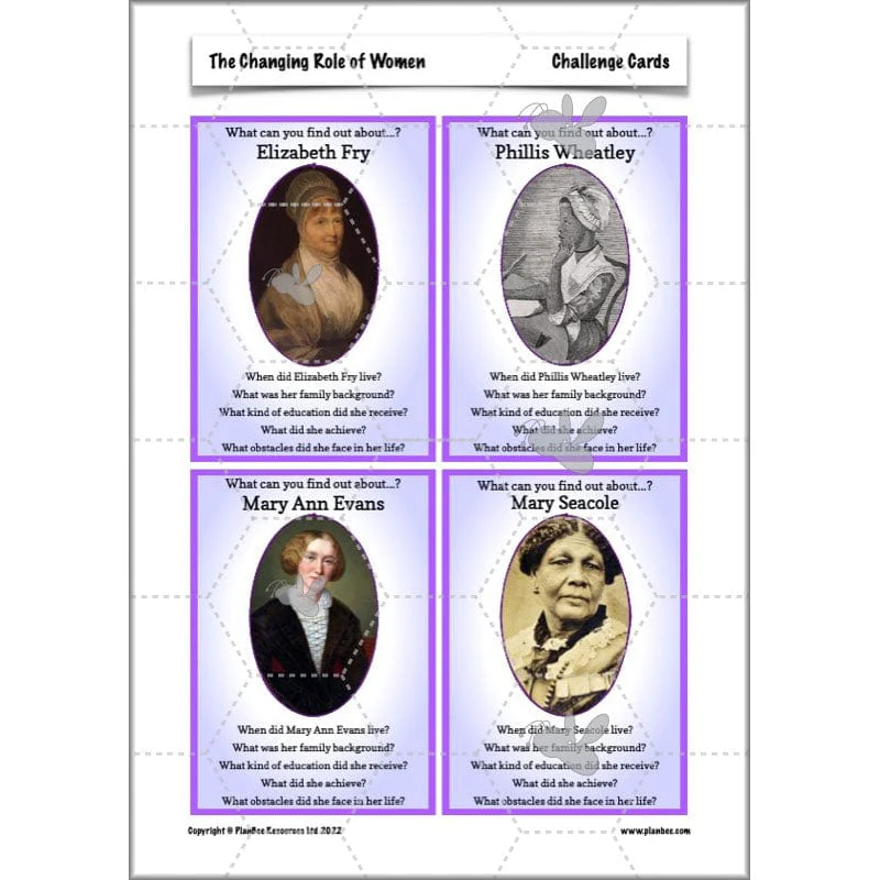 The Changing Role of Women - Image 35