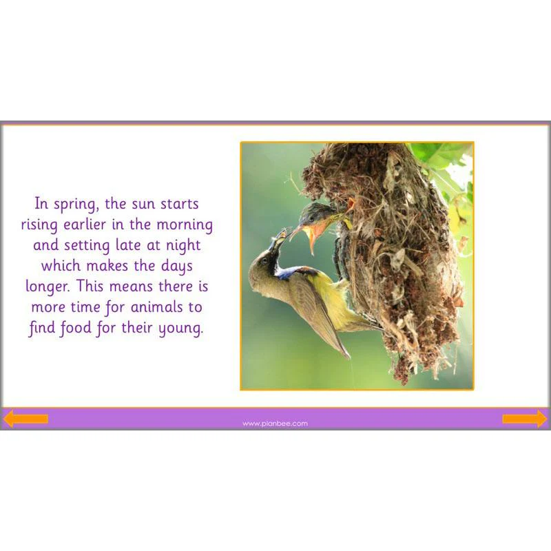 The Four Seasons - Image 30