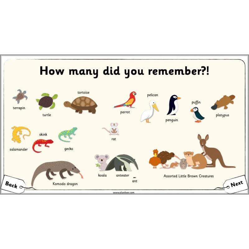 The Great Pet Sale - Image 5