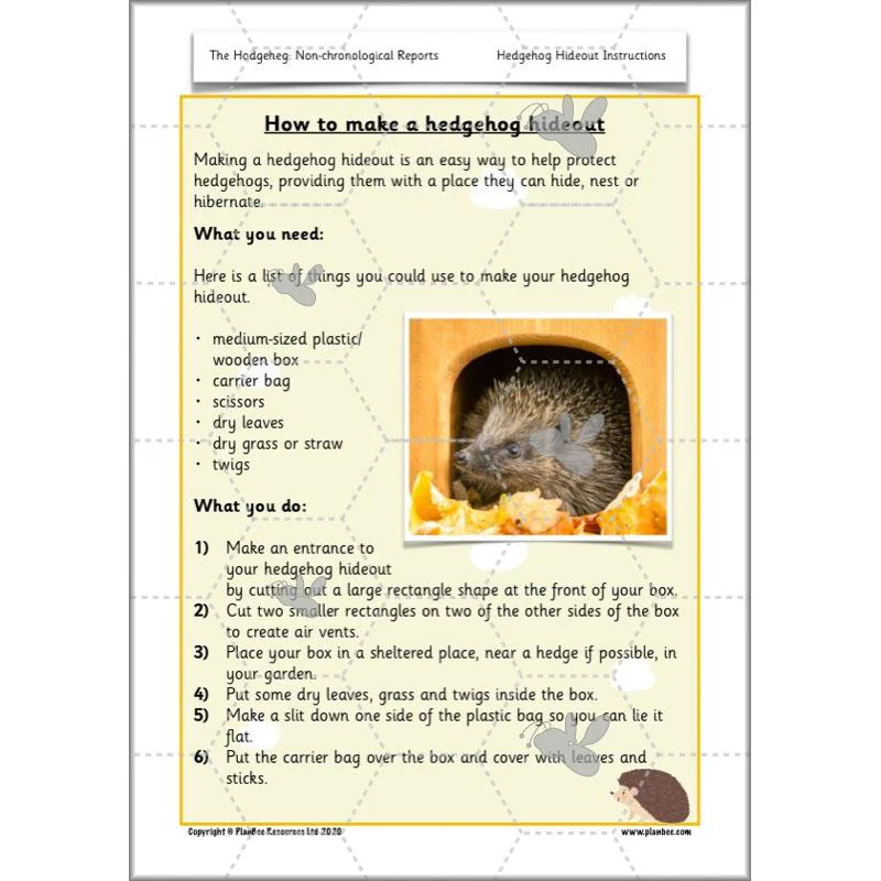 The Hodgeheg: Non-chronological Reports - Image 24