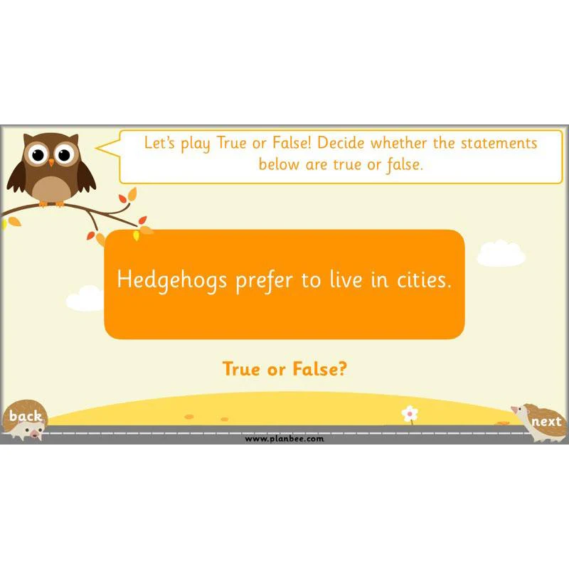 The Hodgeheg: Non-chronological Reports - Image 28