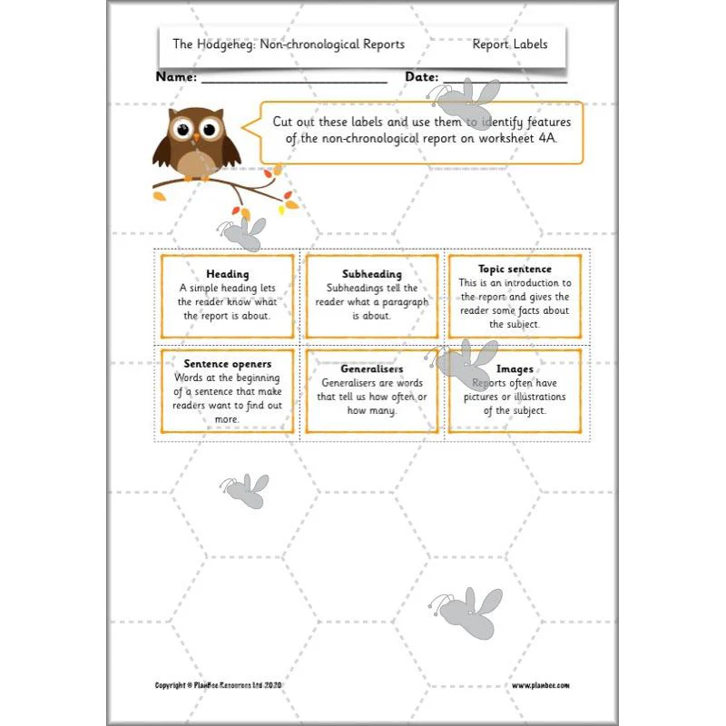 The Hodgeheg: Non-chronological Reports - Image 46
