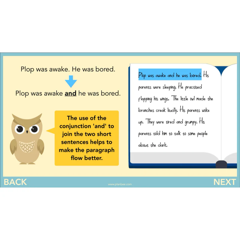 The Owl who was Afraid of the Dark: Narrative - Image 43