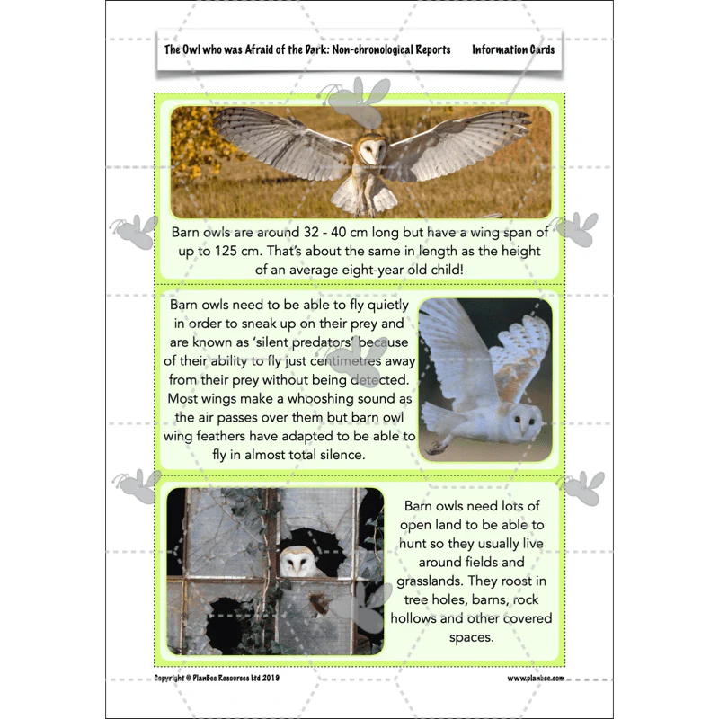 The Owl who was Afraid of the Dark: Non-chronological Reports - Image 12
