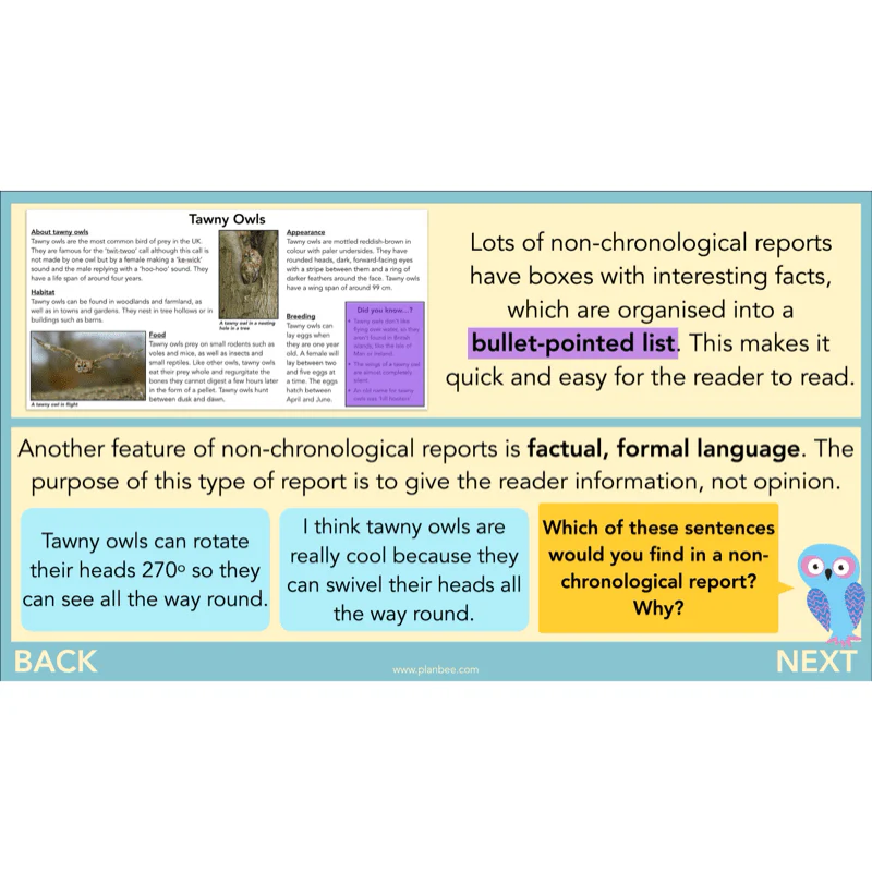 The Owl who was Afraid of the Dark: Non-chronological Reports - Image 20