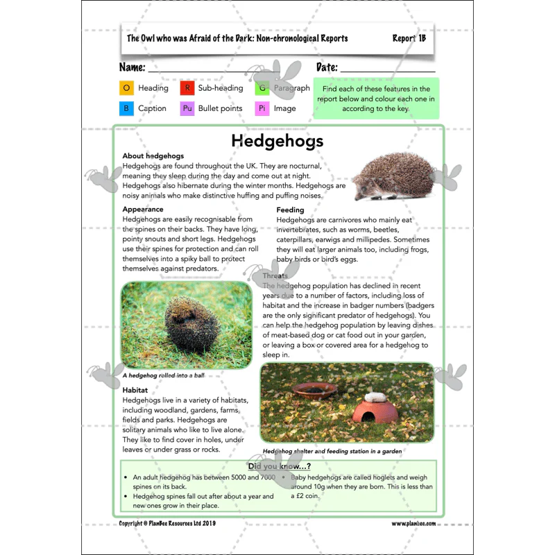 The Owl who was Afraid of the Dark: Non-chronological Reports - Image 21