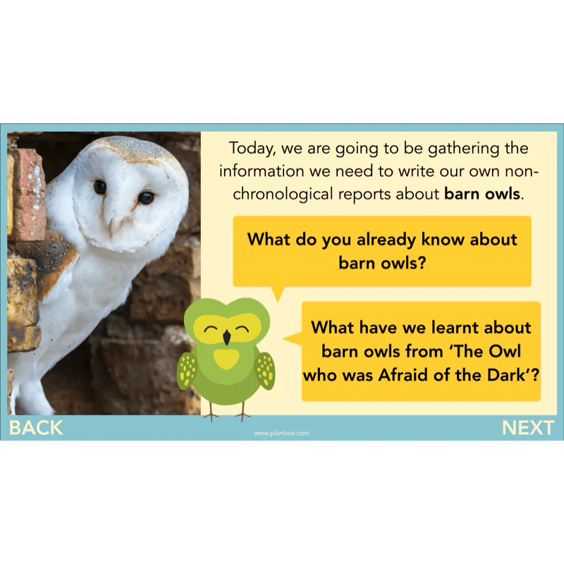 The Owl who was Afraid of the Dark: Non-chronological Reports - Image 26