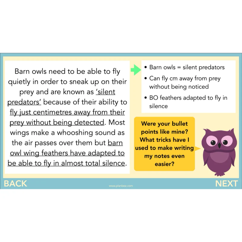 The Owl who was Afraid of the Dark: Non-chronological Reports - Image 28