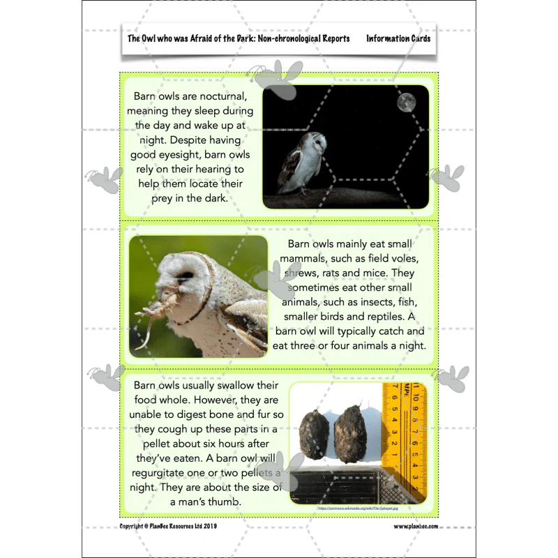 The Owl who was Afraid of the Dark: Non-chronological Reports - Image 29