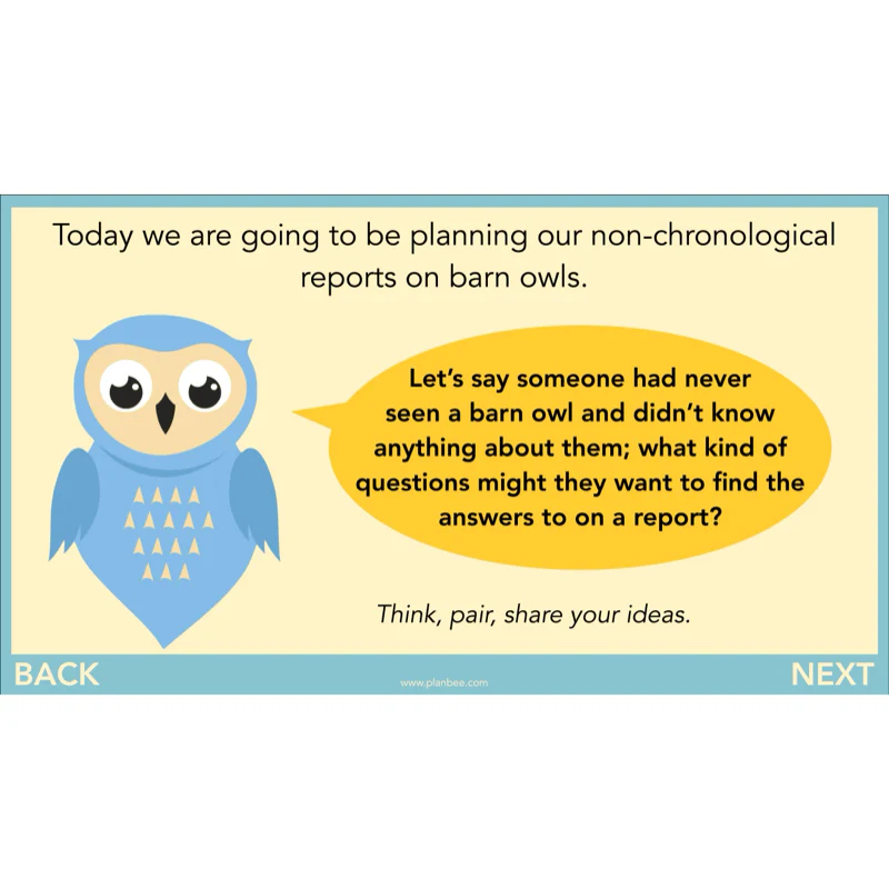 The Owl who was Afraid of the Dark: Non-chronological Reports - Image 33