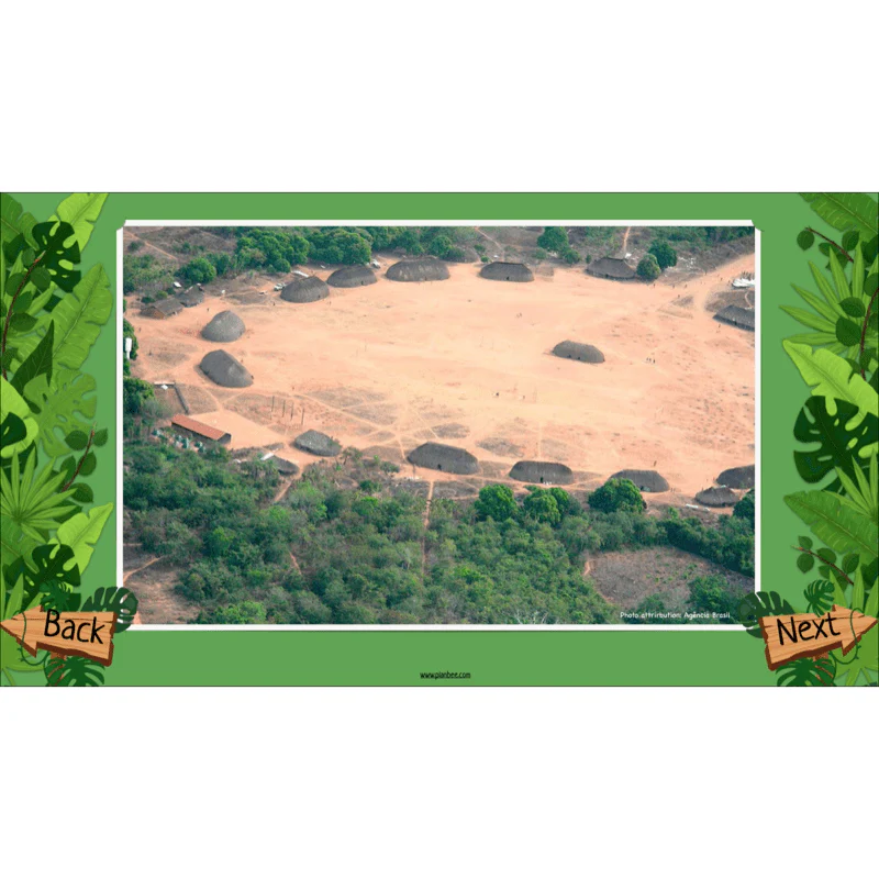 The Rainforest Biome - Image 10