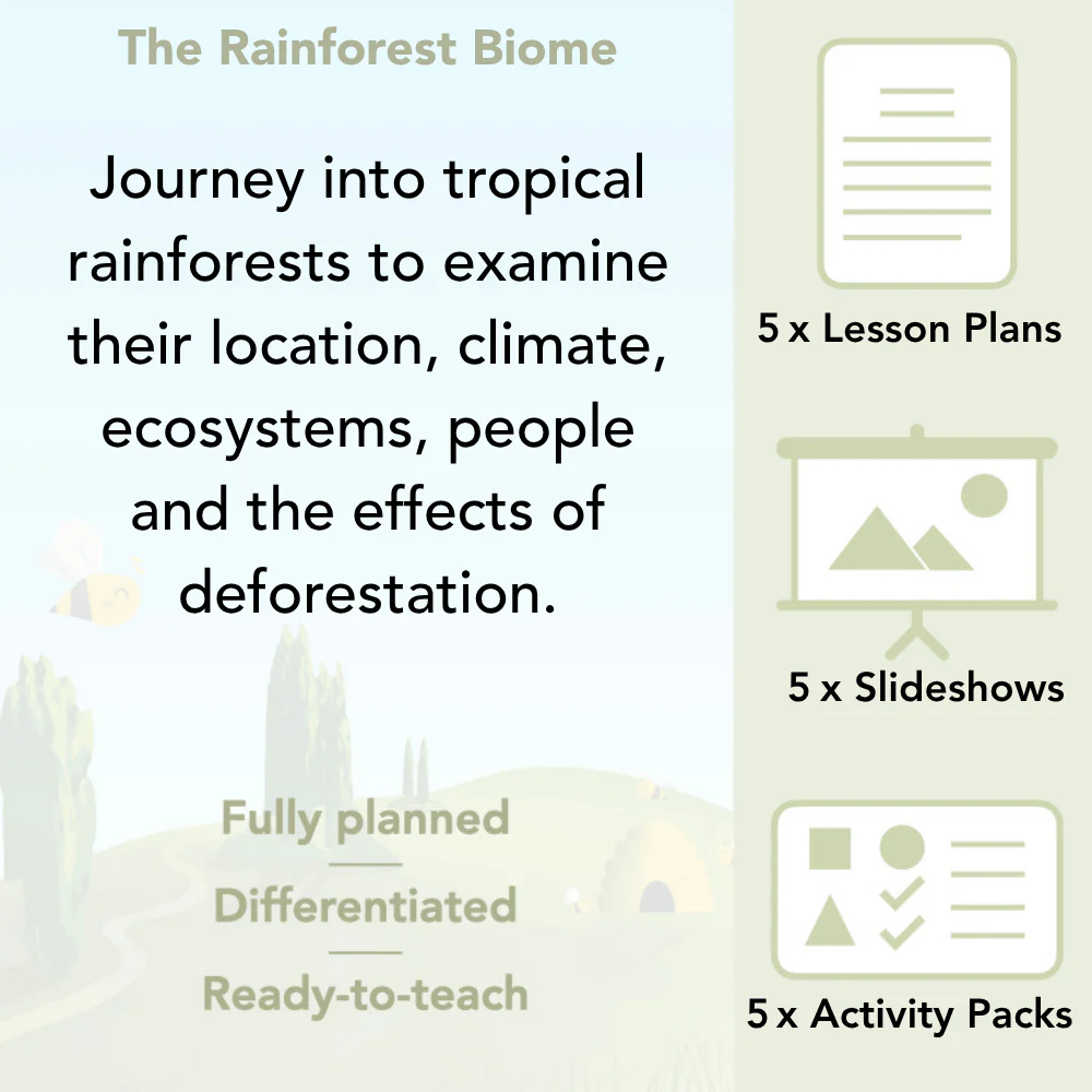 The Rainforest Biome - Image 2