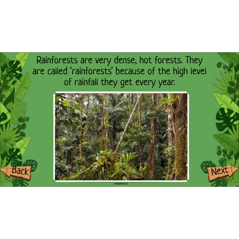 The Rainforest Biome - Image 22