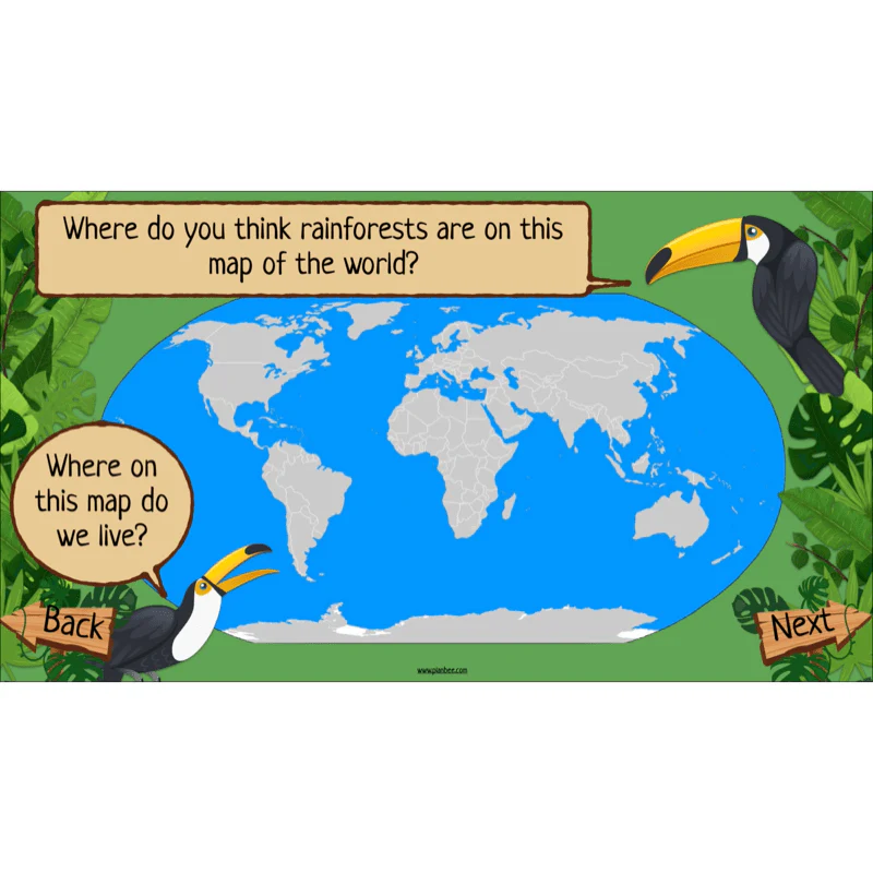 The Rainforest Biome - Image 23