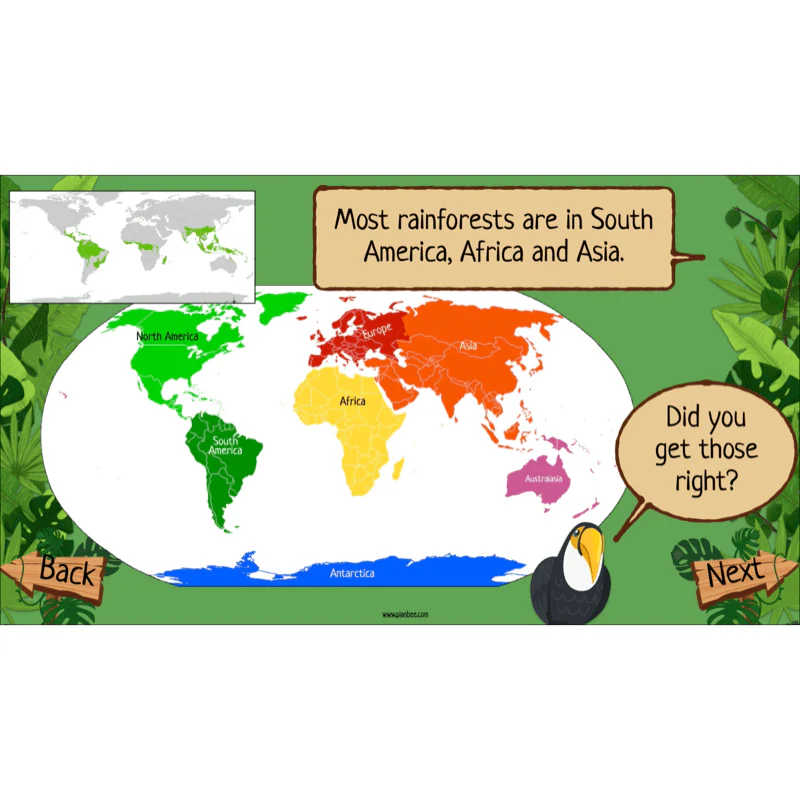 The Rainforest Biome - Image 24