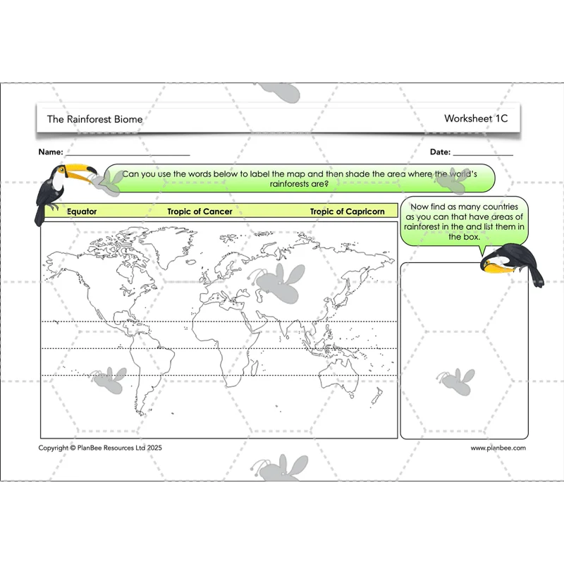 The Rainforest Biome - Image 25