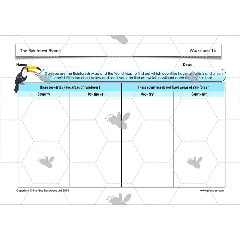 The Rainforest Biome - Image 26