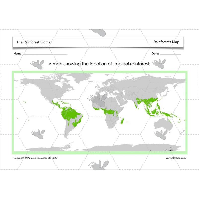 The Rainforest Biome - Image 27