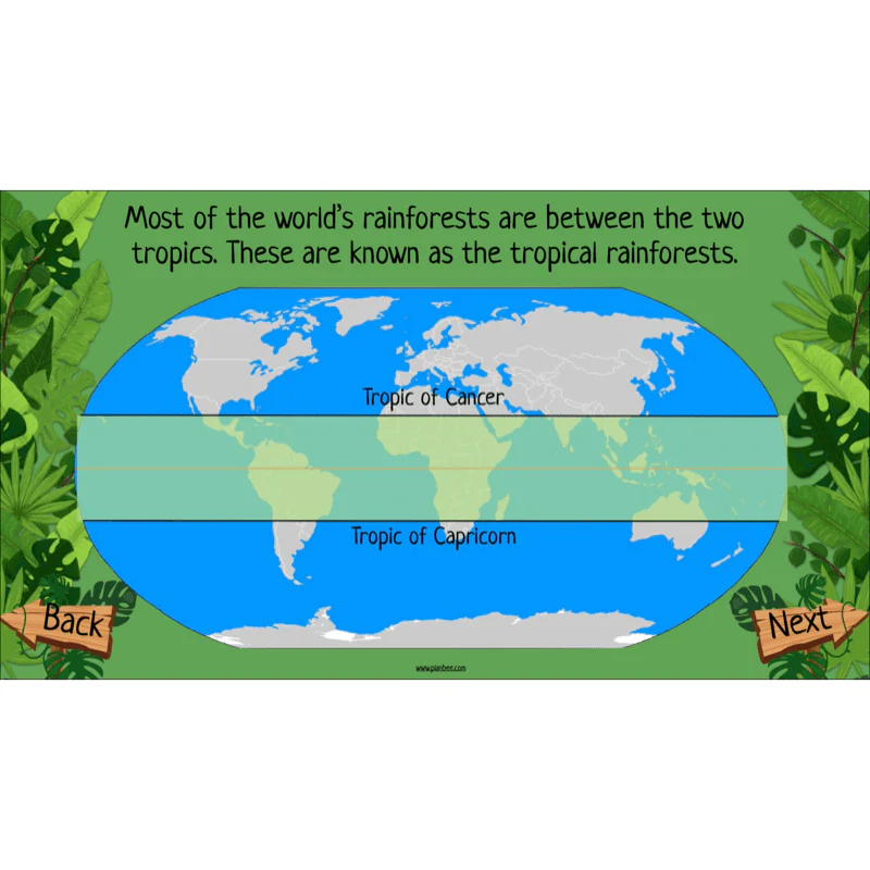 The Rainforest Biome - Image 3