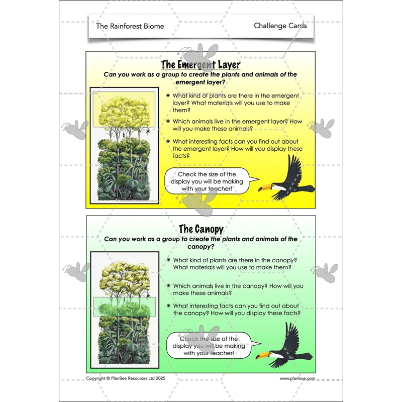 The Rainforest Biome - Image 34