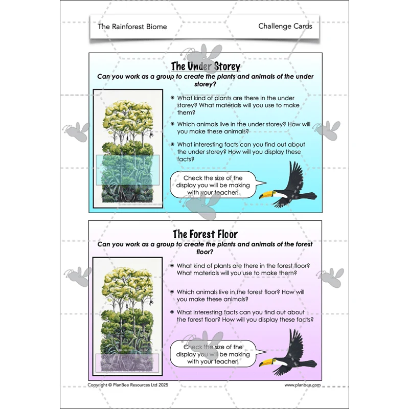 The Rainforest Biome - Image 35
