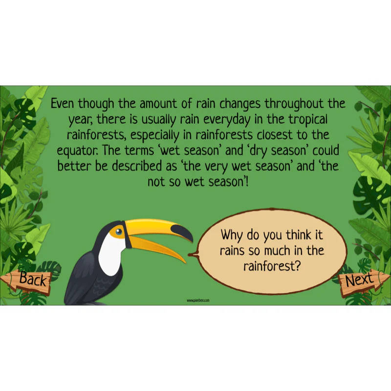 The Rainforest Biome - Image 38