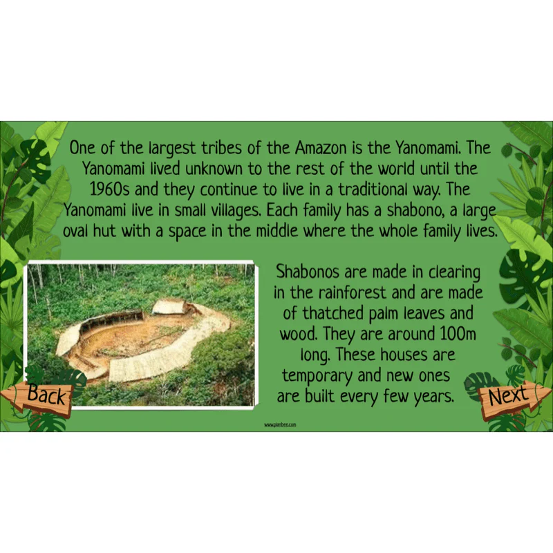 The Rainforest Biome - Image 45