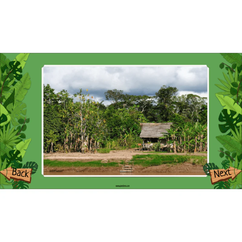 The Rainforest Biome - Image 47
