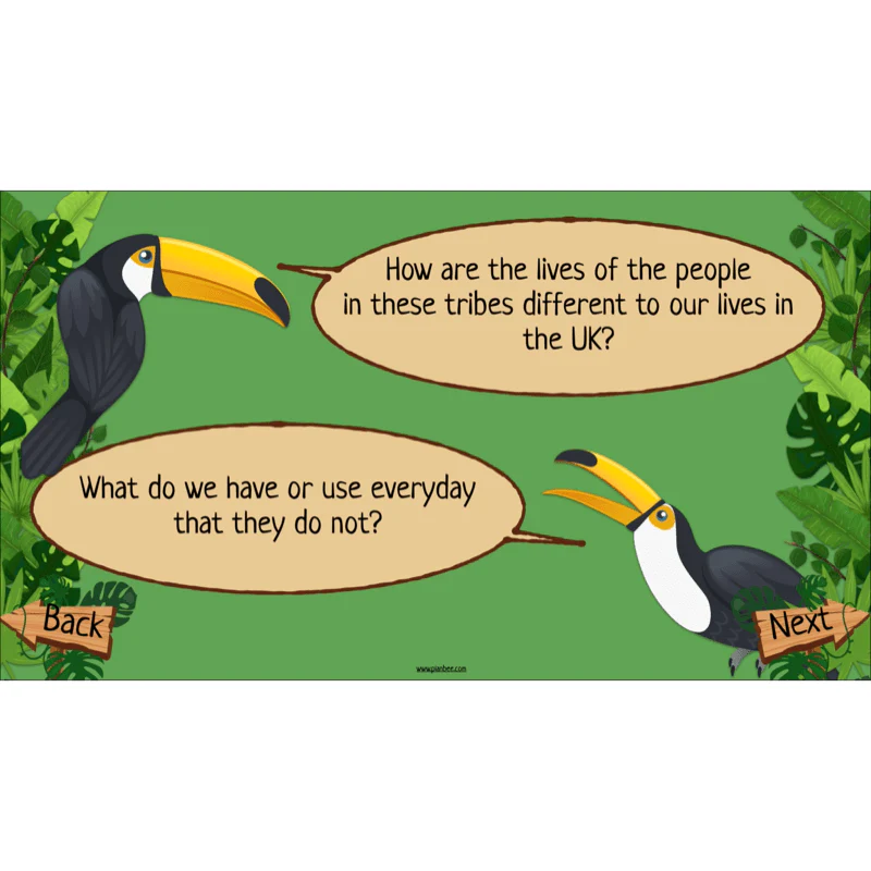 The Rainforest Biome - Image 48