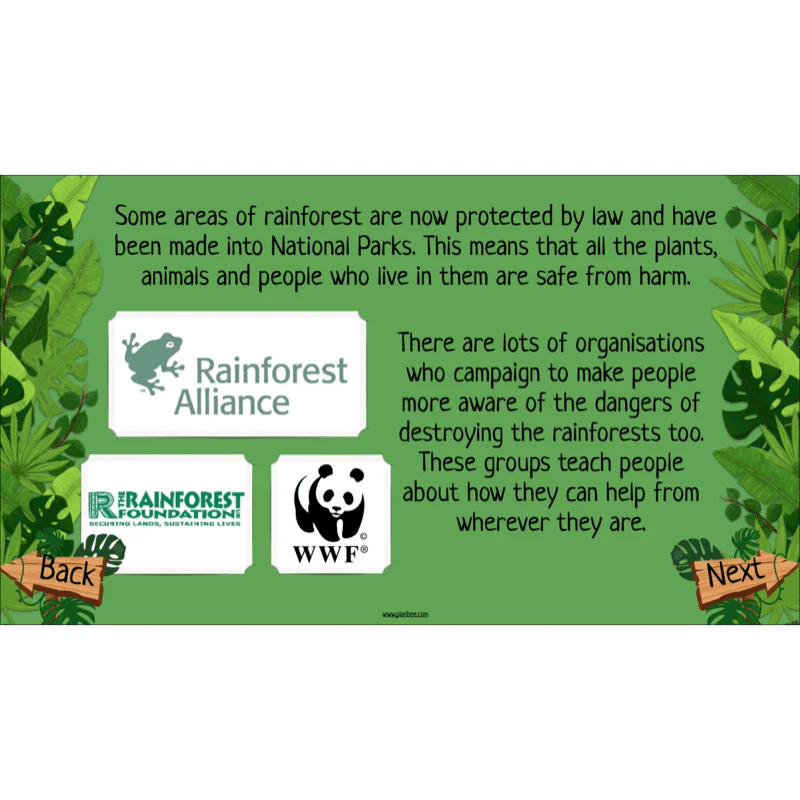 The Rainforest Biome - Image 55