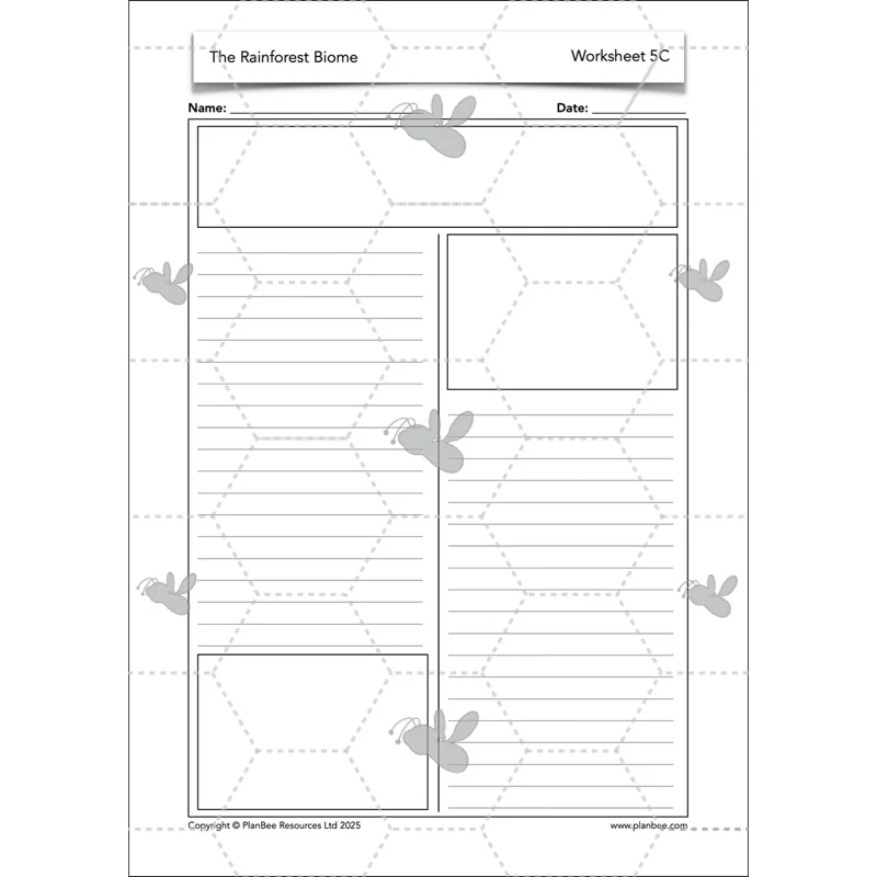 The Rainforest Biome - Image 58