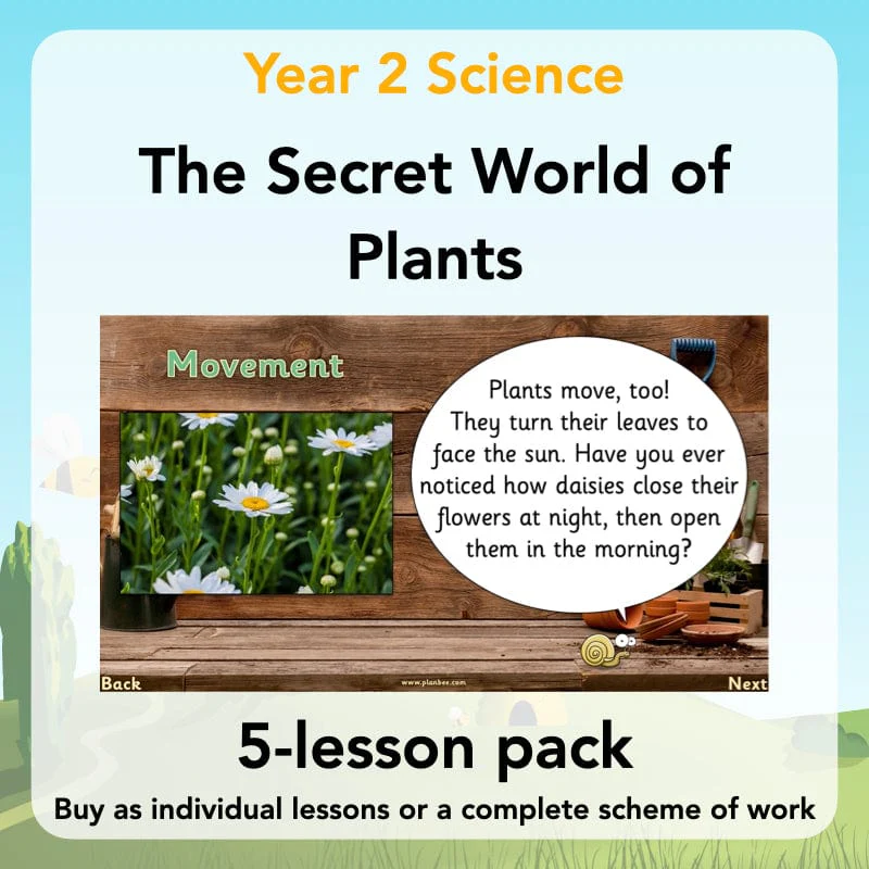 The Secret World of Plants