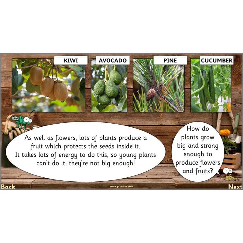 The Secret World of Plants - Image 14