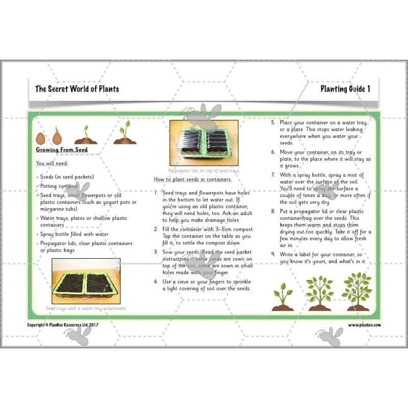 The Secret World of Plants - Image 15