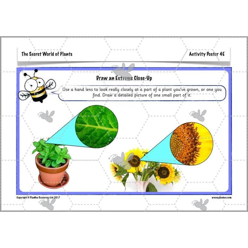 The Secret World of Plants - Image 20