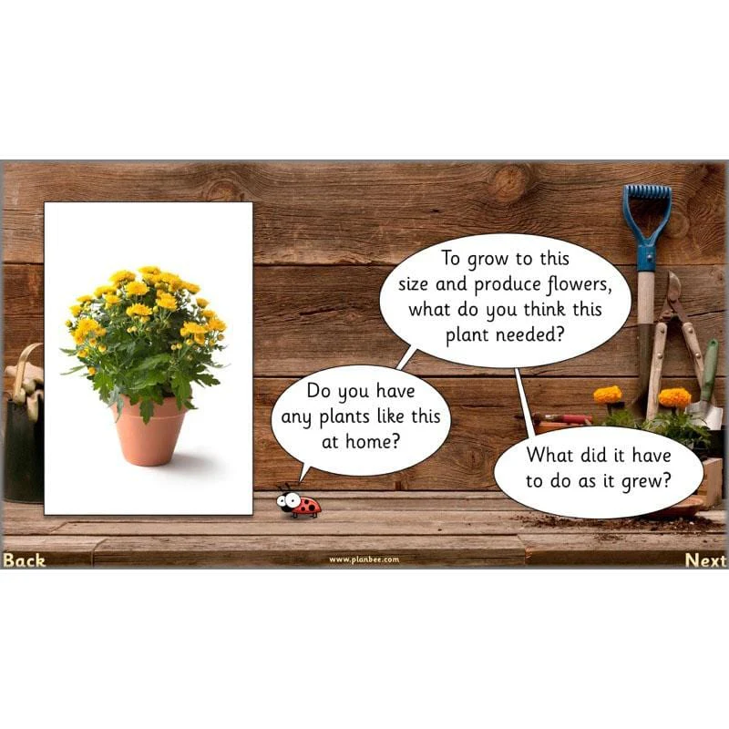 The Secret World of Plants - Image 3
